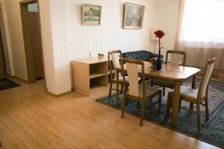 Town Hall 3 Bedroom Apartment VNO Kültér fotó